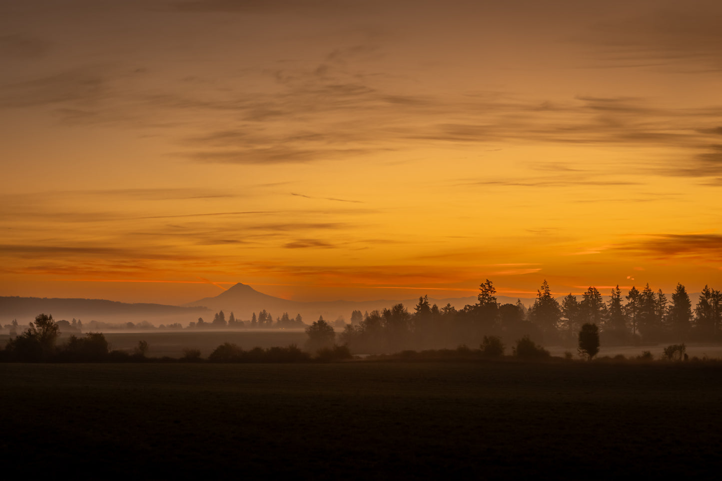 The Day the Sky Drank Gold